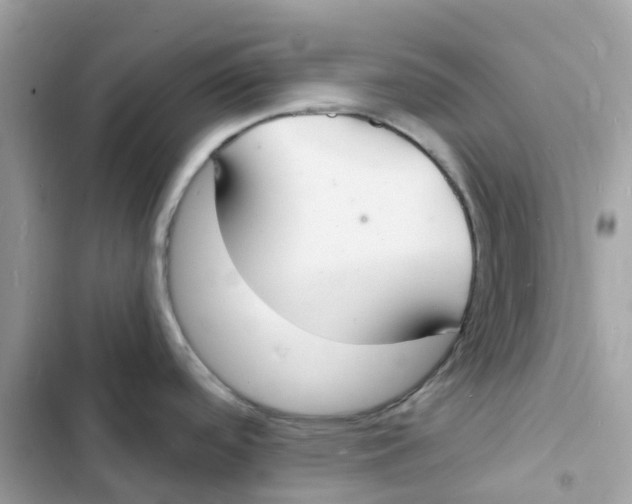 X0000103301488200809191842