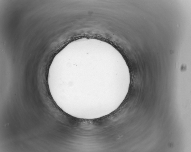 X0000103301489200809191841