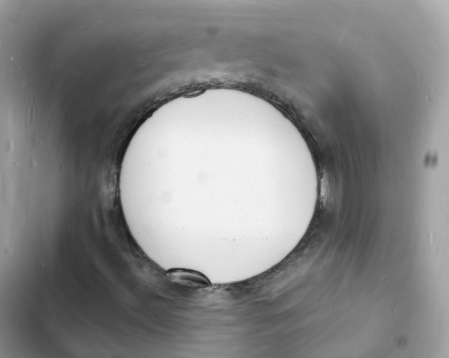 X0000103301492200809191842