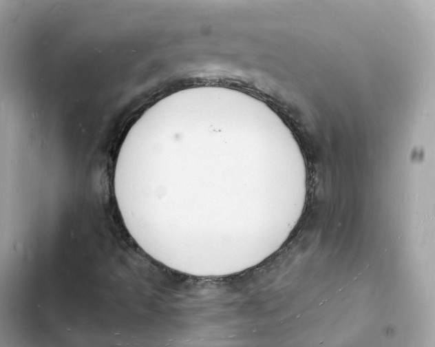 X0000103301493200809191842