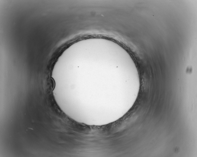 X0000103301494200809191842