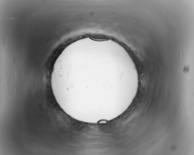 X0000103301495200809191842