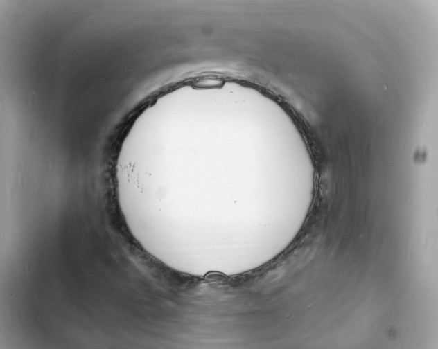 X0000103301496200809191842