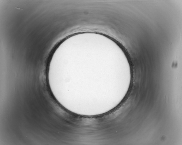 X0000103301498200809191842