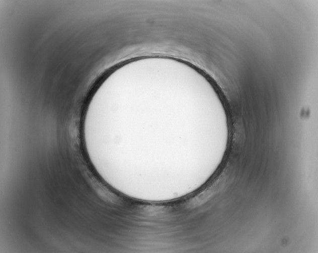 X0000103301499200809191842