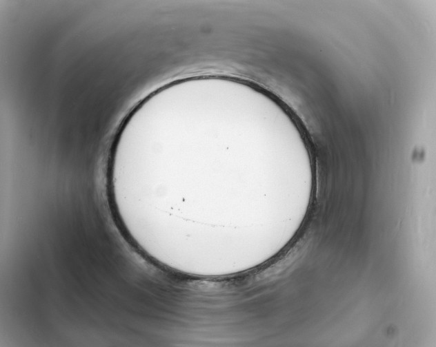 X0000103301500200809191842