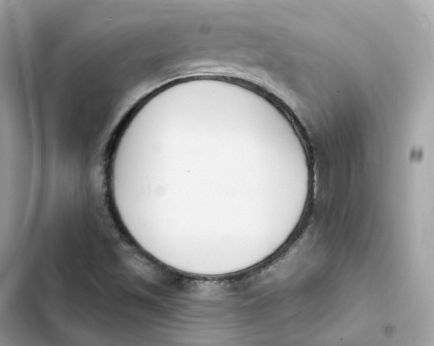 X0000103301501200809191842