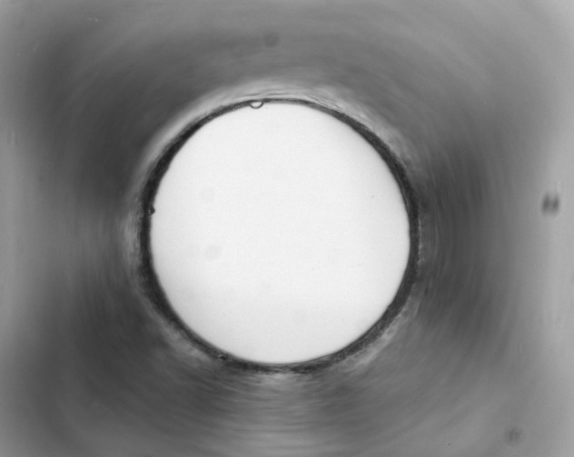 X0000103301502200809191842