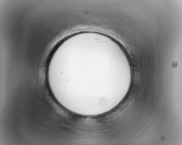 X0000103301503200809191842