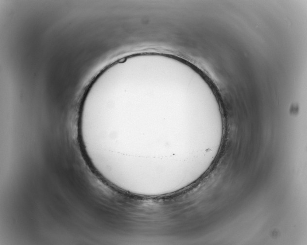 X0000103301504200809191842