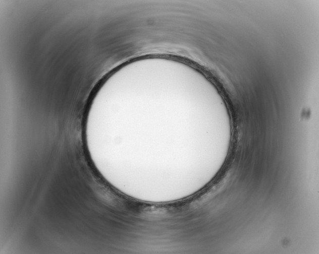 X0000103301505200809191842