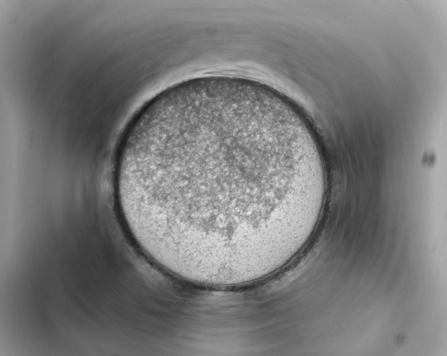 X0000103301506200809191842