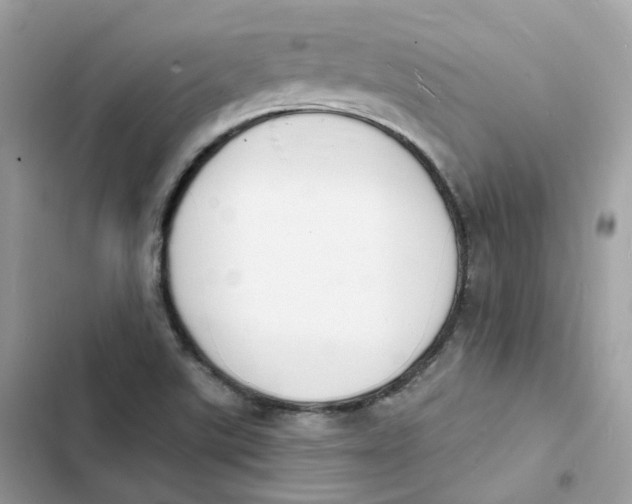 X0000103301507200809191842