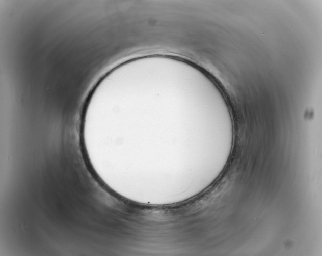 X0000103301508200809191842