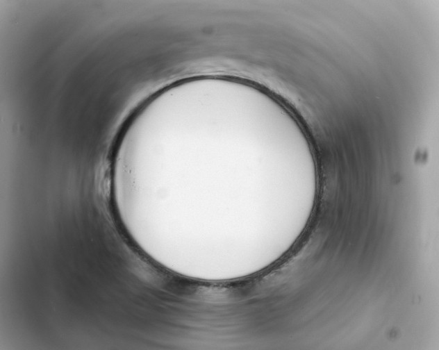 X0000103301509200809191842