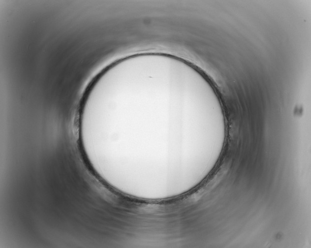 X0000103301510200809191842