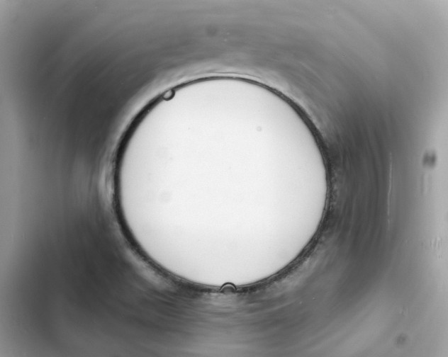 X0000103301511200809191842