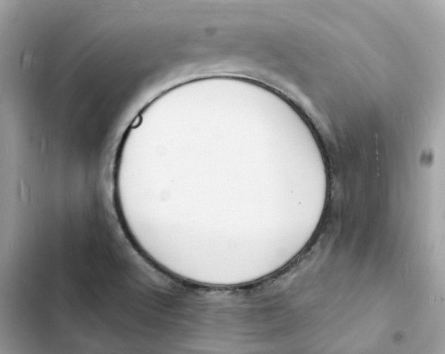 X0000103301512200809191842