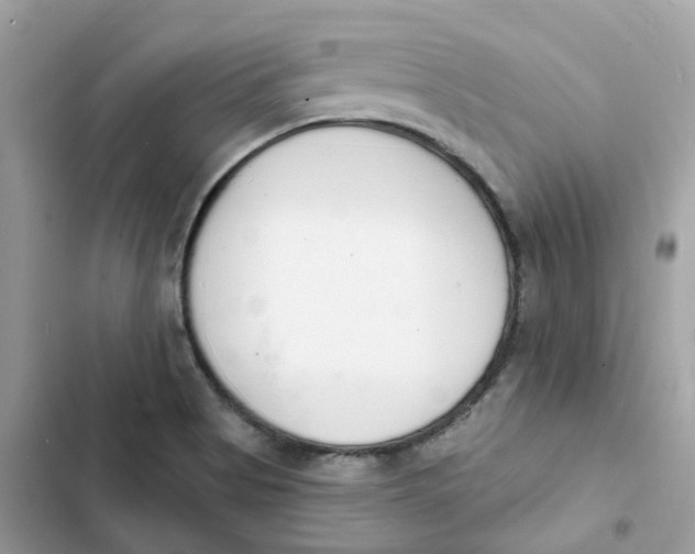 X0000103301513200809191842