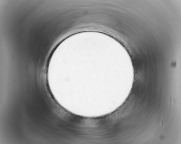 X0000103301514200809191842