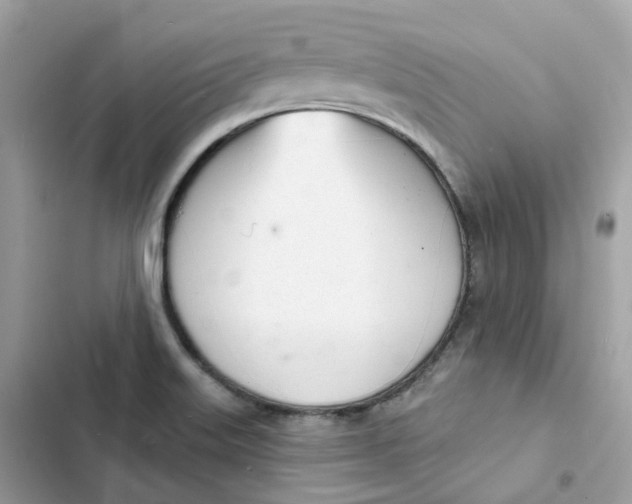 X0000103301515200809191842