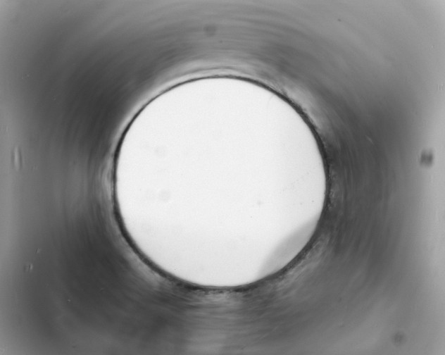 X0000103301516200809191842