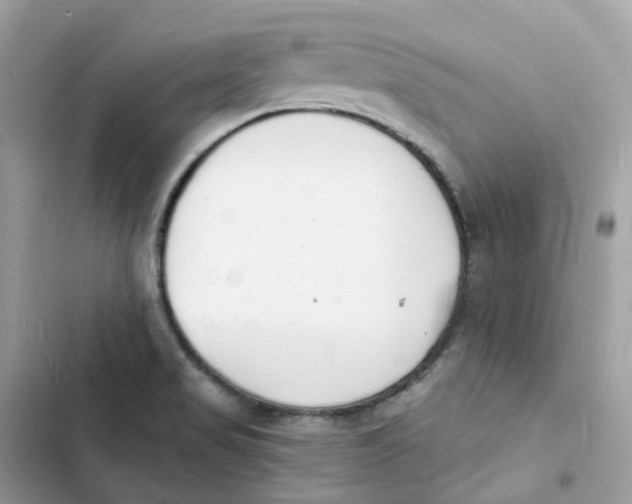 X0000103301517200809191842