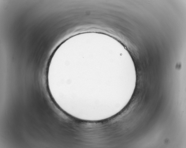 X0000103301518200809191842