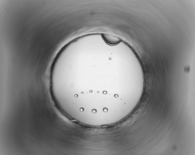 X0000103301519200809191842