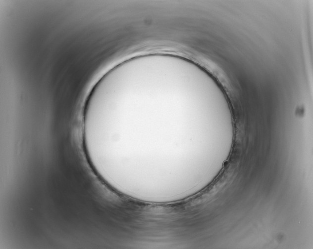 X0000103301520200809191842