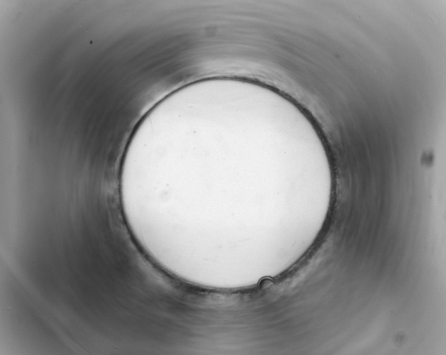 X0000103301521200809191842