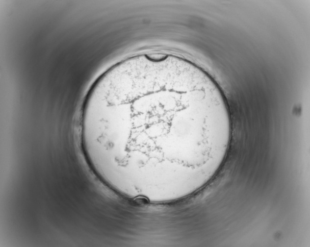 X0000103301522200809191842