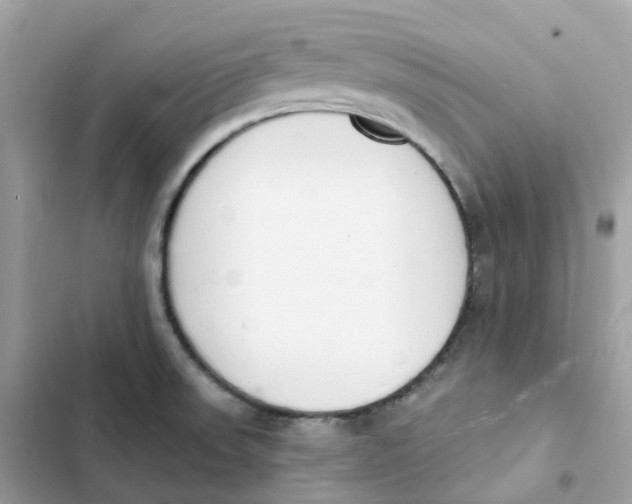 X0000103301523200809191842