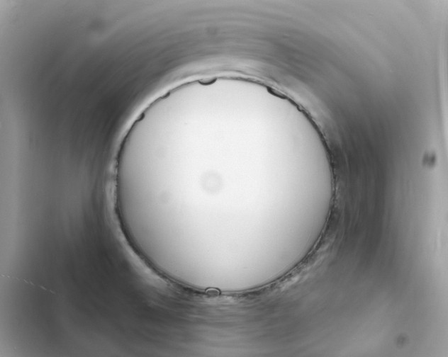 X0000103301524200809191842