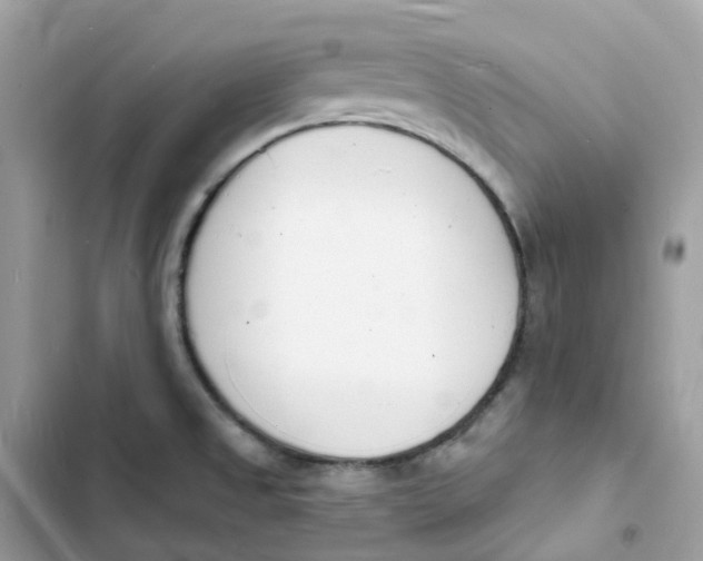 X0000103301525200809191842