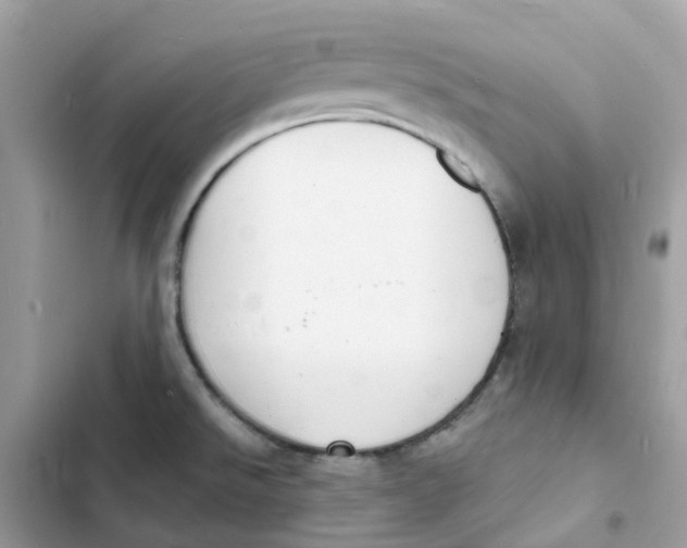 X0000103301526200809191842