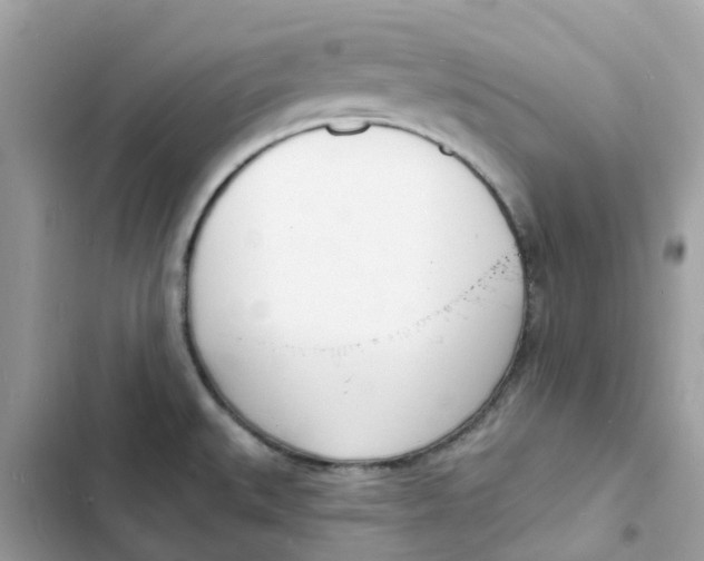 X0000103301527200809191842