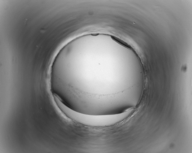 X0000103301528200809191842