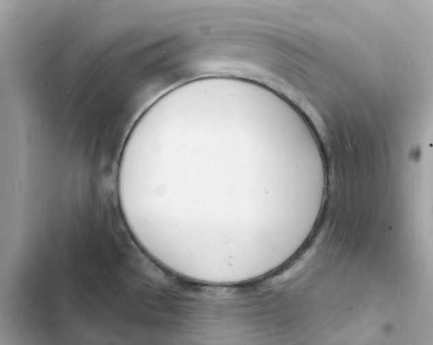 X0000103301529200809191842