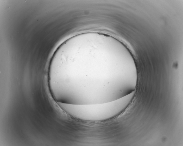 X0000103301530200809191842