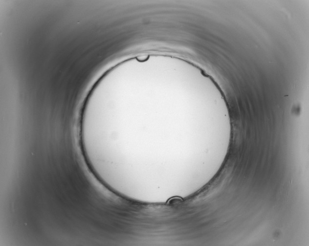 X0000103301531200809191842