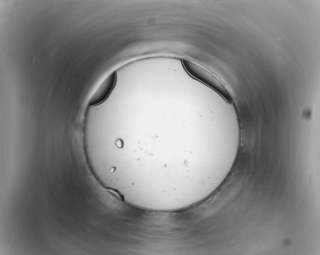 X0000103301532200809191842