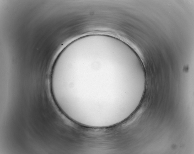 X0000103301533200809191842