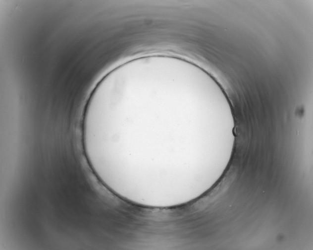 X0000103301534200809191842