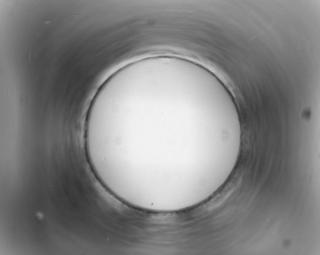 X0000103301535200809191842