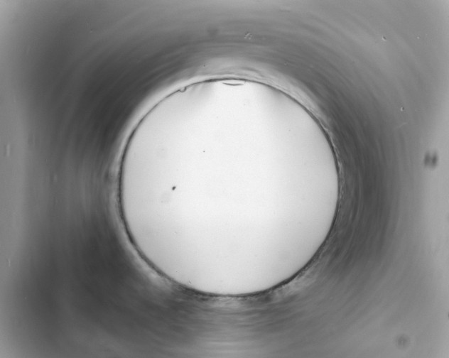 X0000103301536200809191842