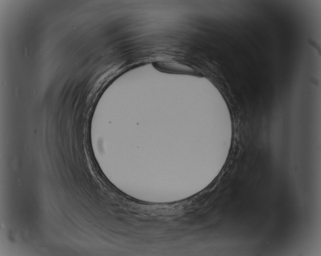 X0000103300001200809261324
