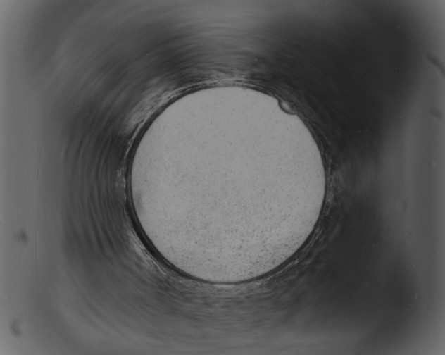 X0000103300002200809261324