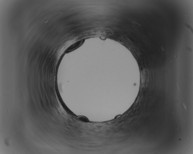 X0000103300003200809261324