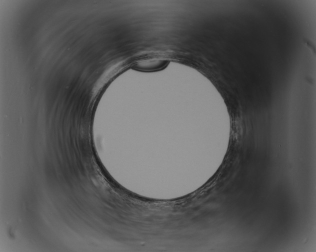X0000103300004200809261324
